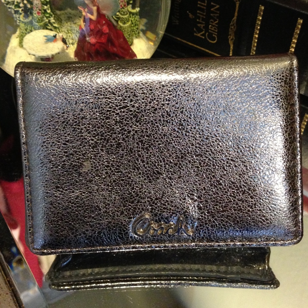 COPY - Gorgeous metallic grey coach wallet